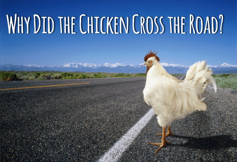 Overview of chicken road online